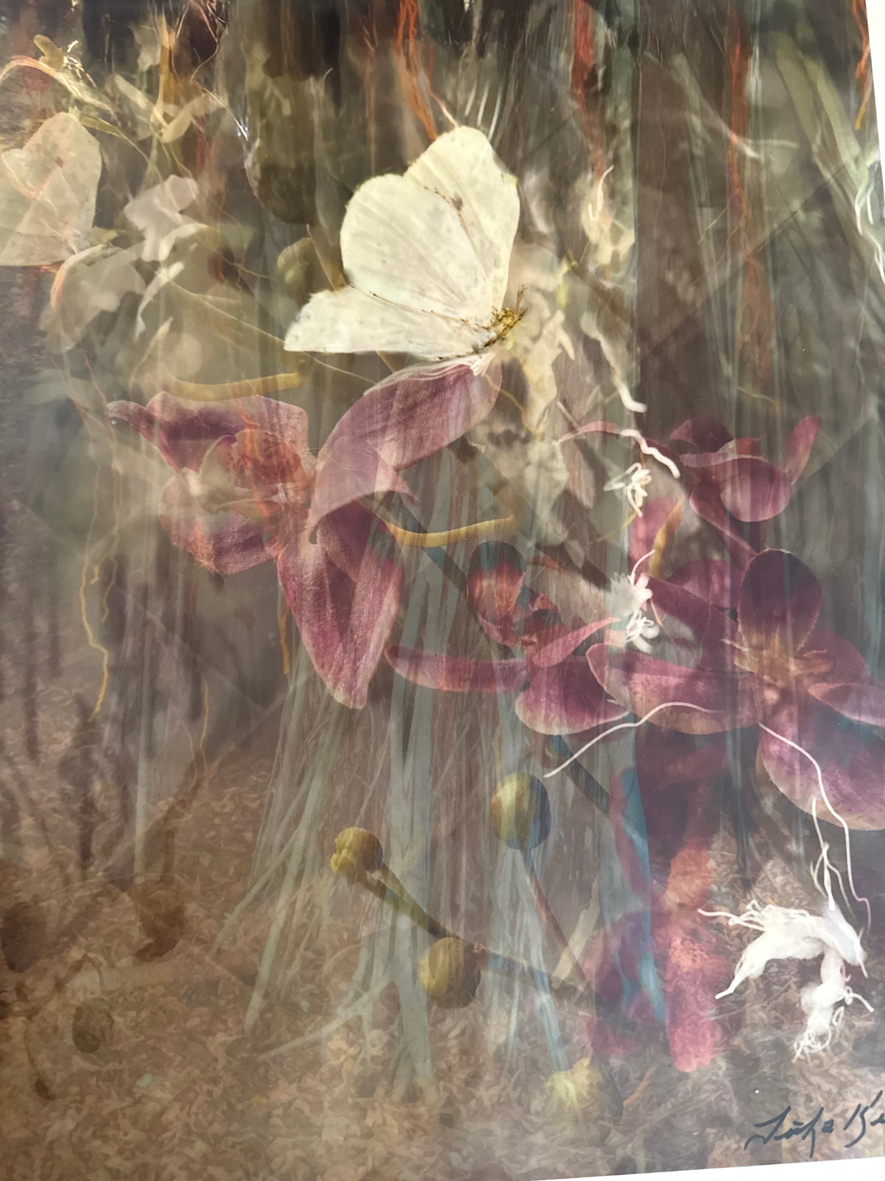 Flutter and bloom