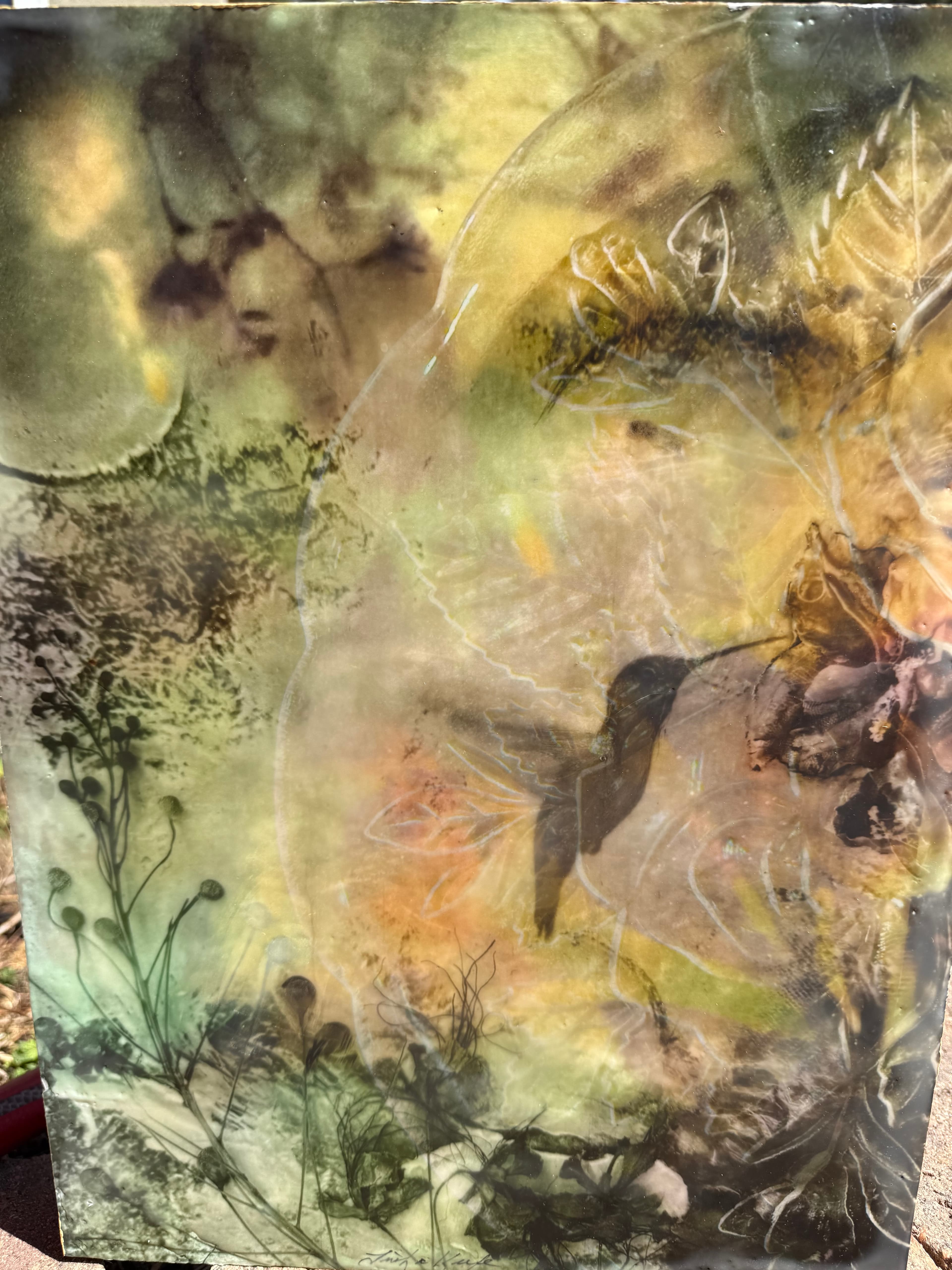 Gossamer Garden