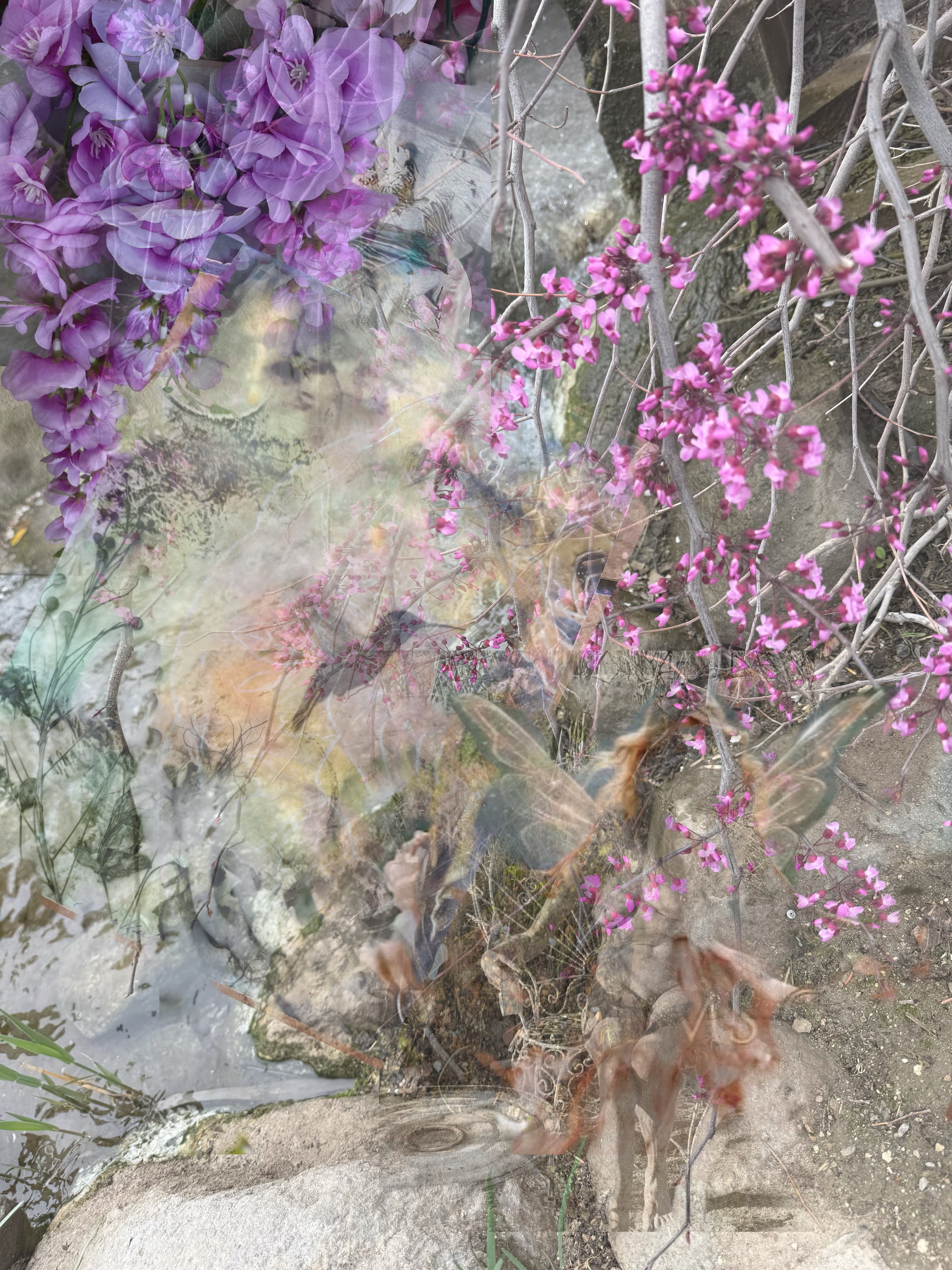 Veils of purple