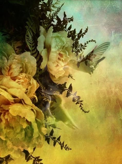Golden Bloom