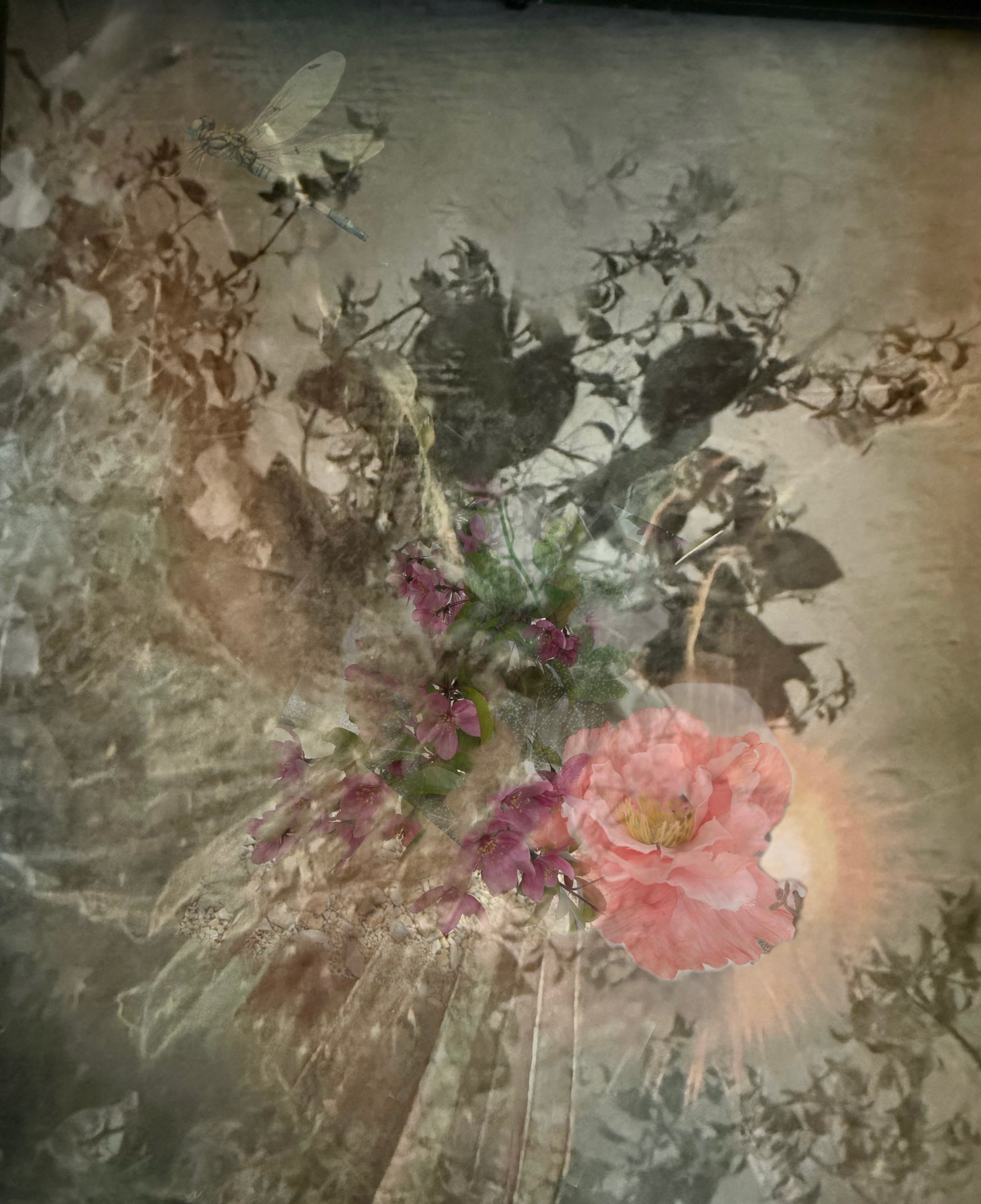Dragon flower