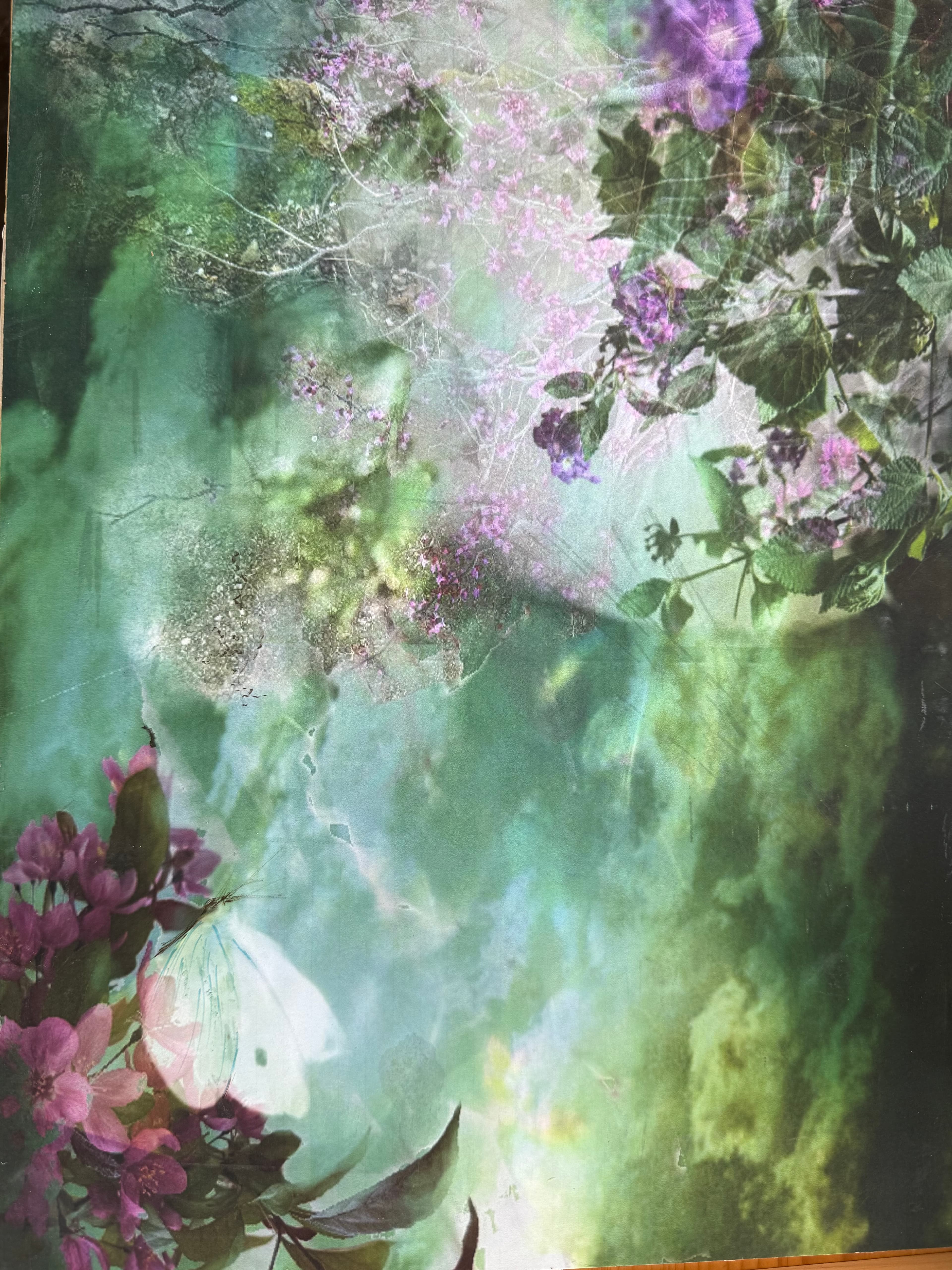 Midnight in the garden