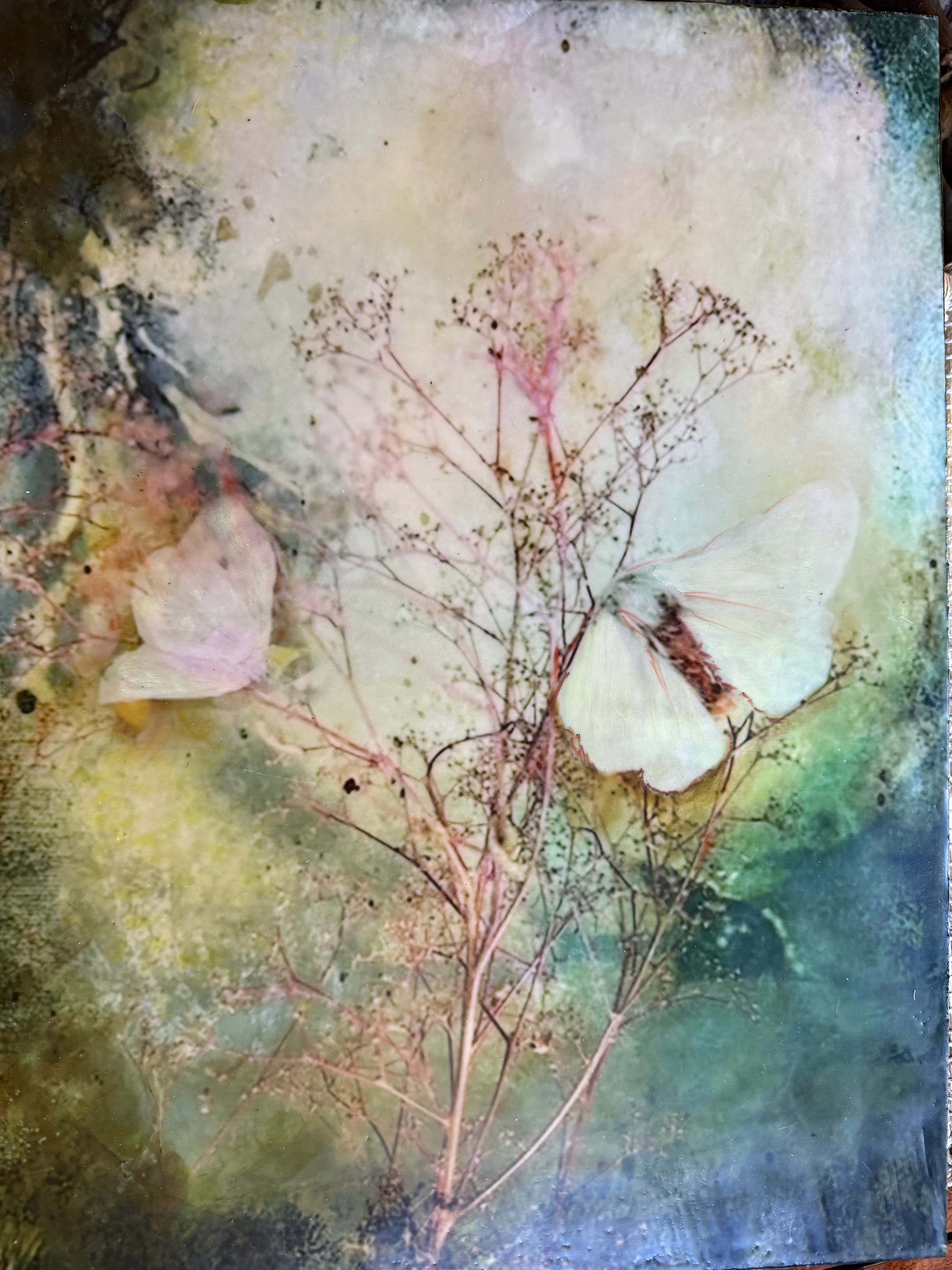 Moth and Mist