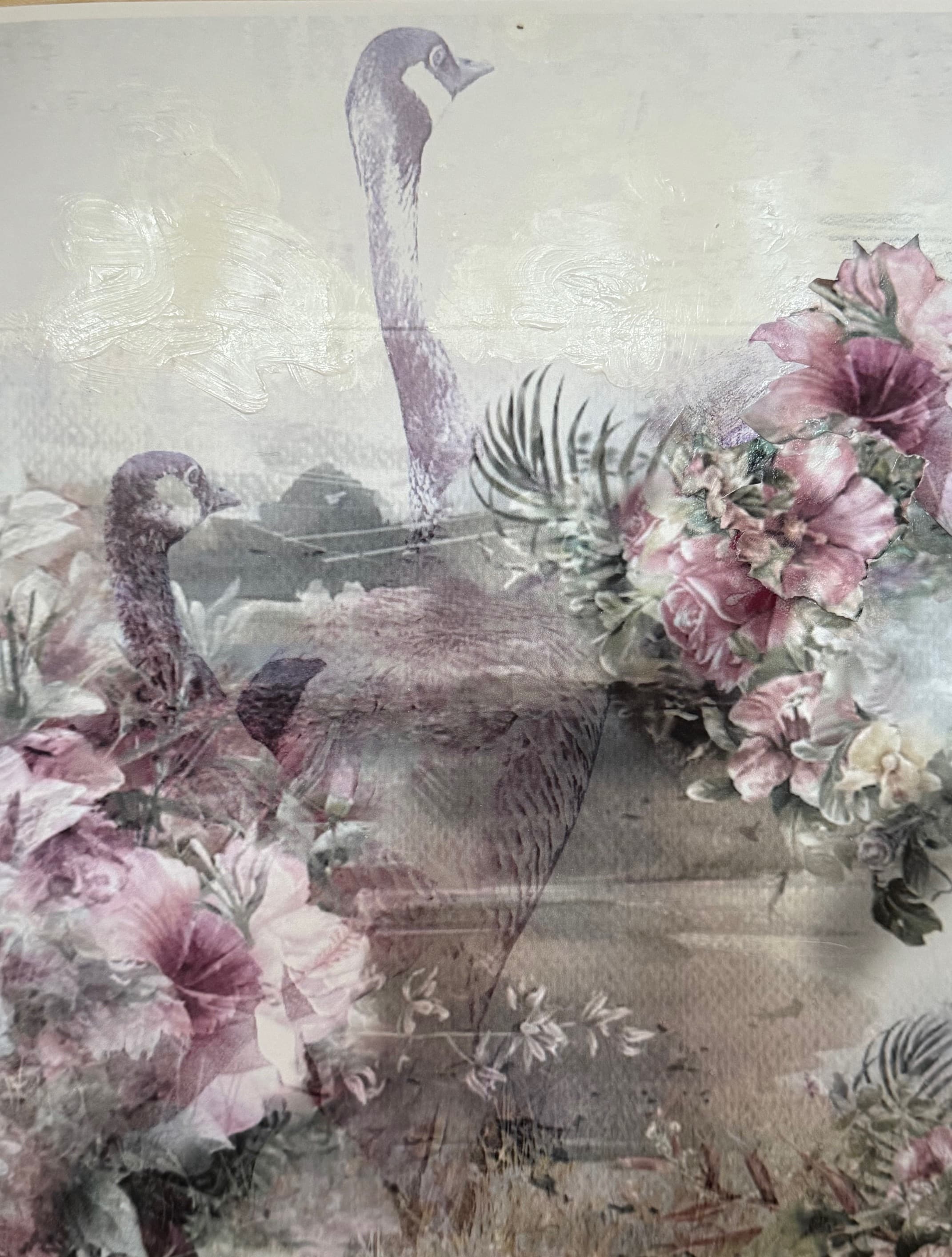 Swans in the garden