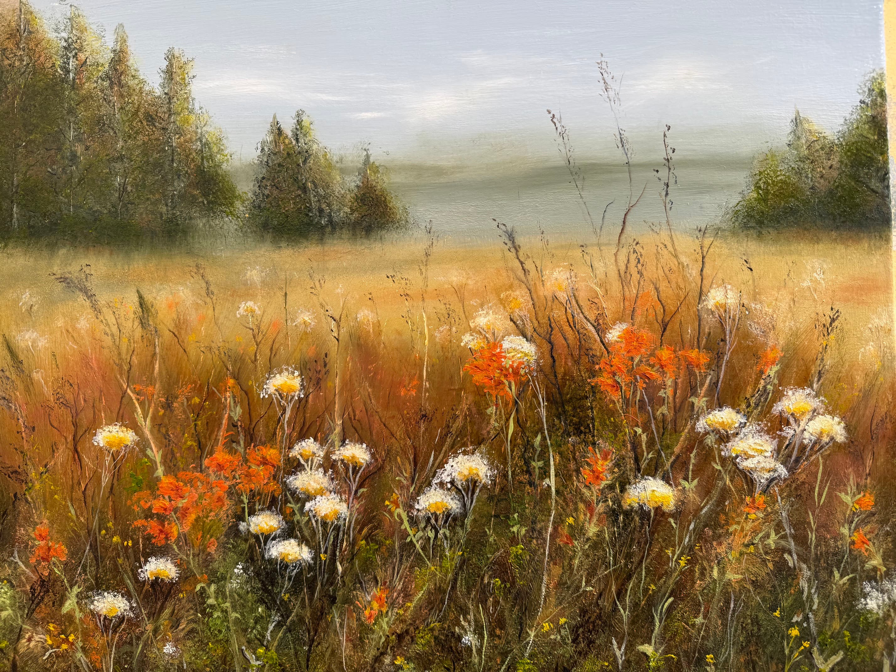 Where the Mist Holds the Morning